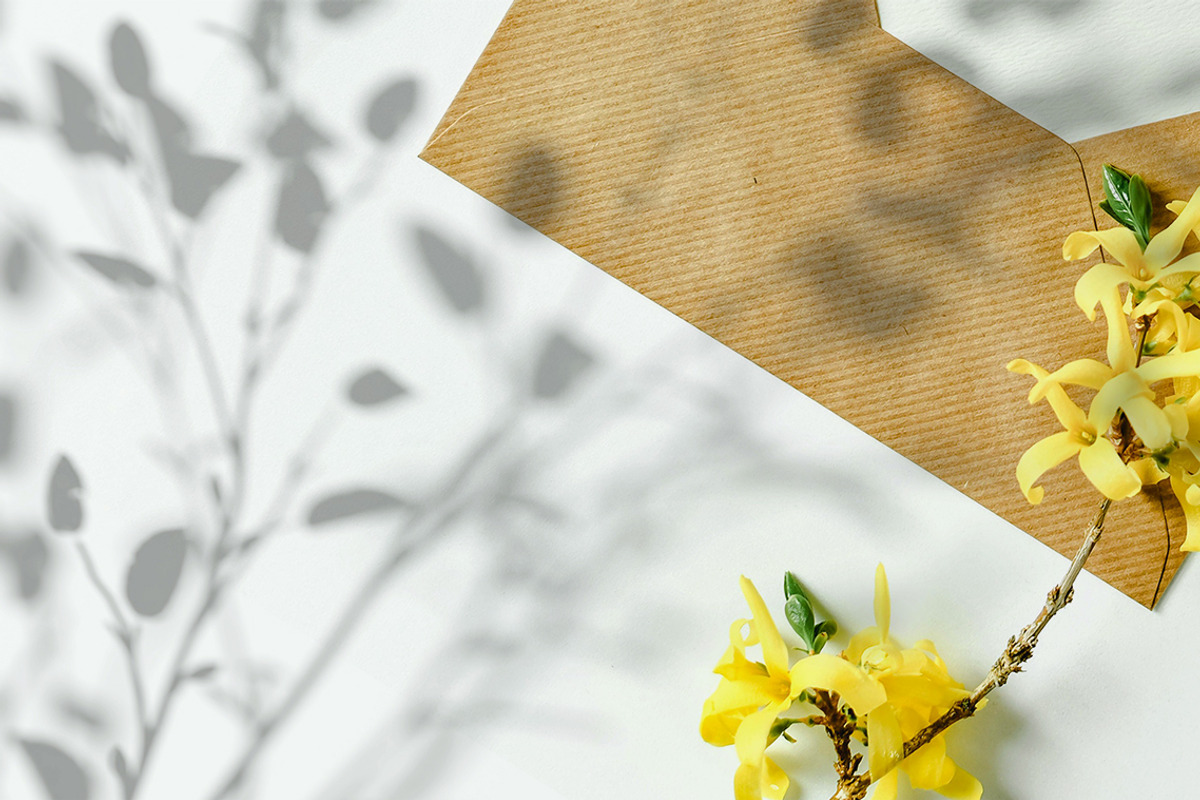 Plant Shadow Backdrops Video Bundle, a Mockup by rebrandy (Photo 21 of 24)