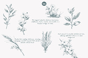 vintage clipart ink illustration set, a Decorative Illustration by Patishop Art (Thumbnail 7 of 9)