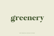 Palm Springs Graphic Font, a Serif Font by Tropical Type (Thumbnail 7 of 11)