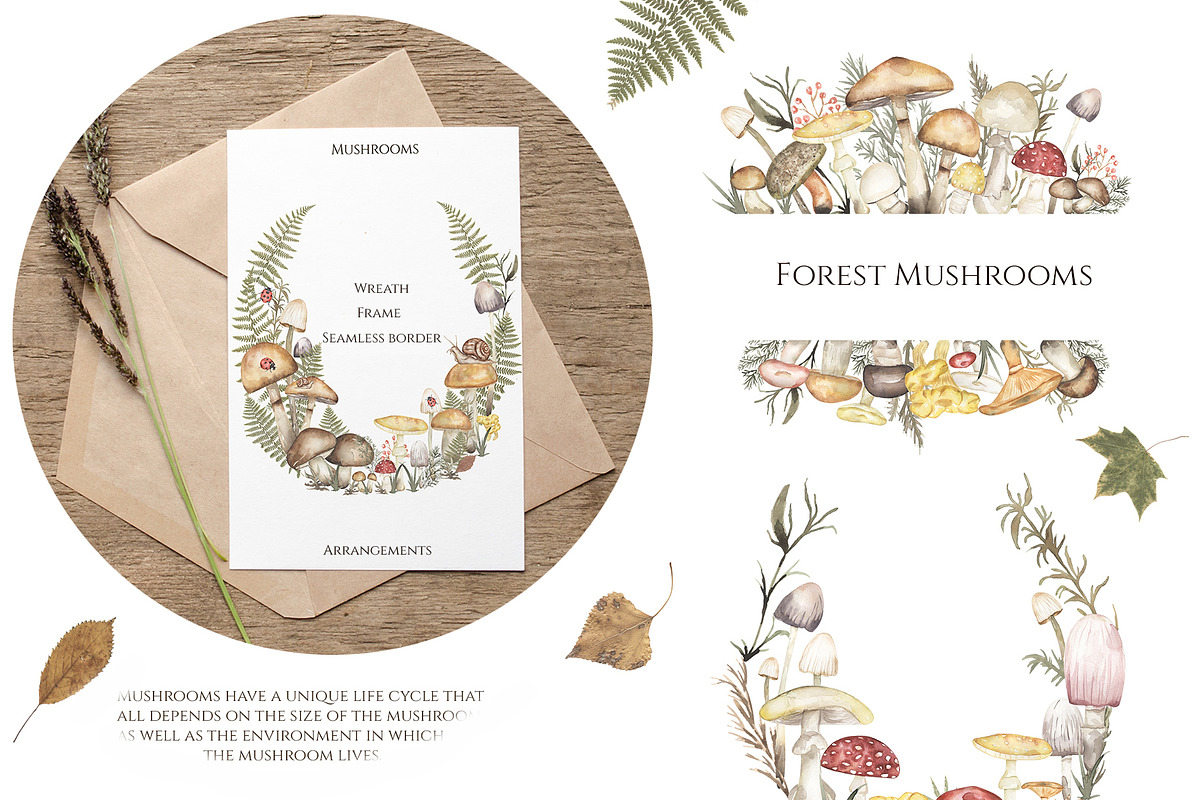 Watercolor Mushrooms Collection, an Education Illustration by MayaNavits (Photo 6 of 14)