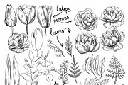 Flowers in line, an Illustration by katyabuslaeva (Thumbnail 2 of 7)