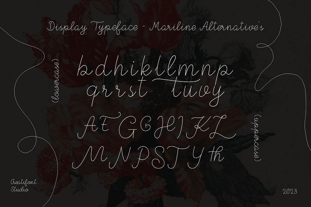 CF Mariline - Monoline Script, a Script Font by Indotype Foundry (Photo 4 of 10)