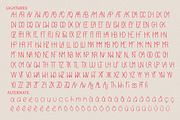 Ingenue Serif Bundle font, a Serif Font by CHIMERA (Thumbnail 15 of 17)
