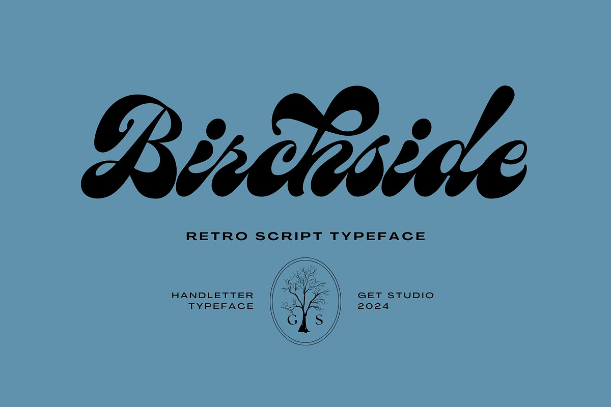 Birchside Script, a Script Font by Get Studio (Photo 1 of 28)