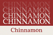 Red Carpet - Serif Font, a Serif Font by Alpaprana (Thumbnail 6 of 10)