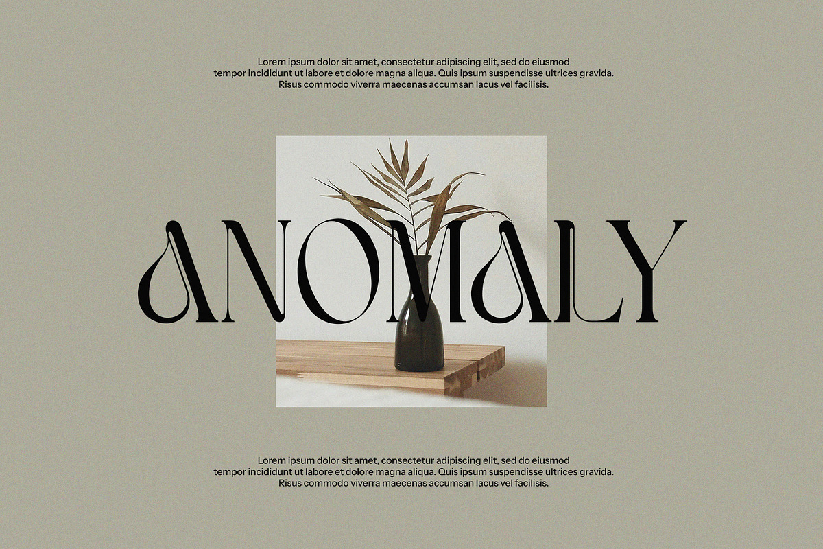 Havko Unique Serif Font, a Serif Font by Perfectype (Photo 4 of 8)