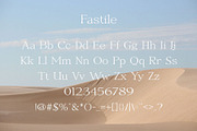 Fastile - Nostalgic Serif Font, a Serif Font by TypeLogue (Thumbnail 4 of 5)