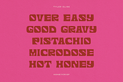 HONEYCRISP by Tyler Elise, a Font by tylerelise (Thumbnail 3 of 6)