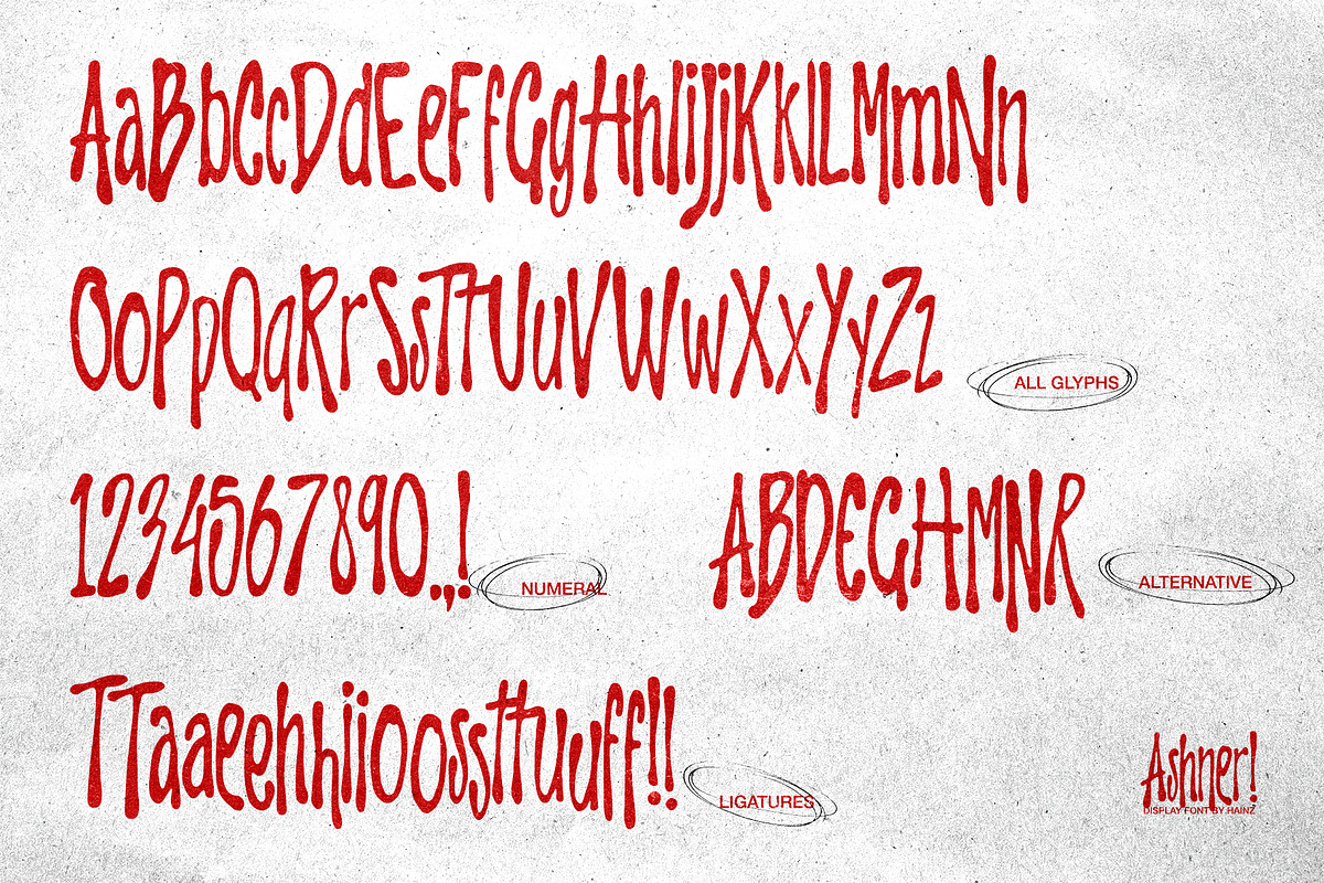 Ashner! - Display Font, a Handwritten Font by Hainz Studio (Photo 5 of 9)