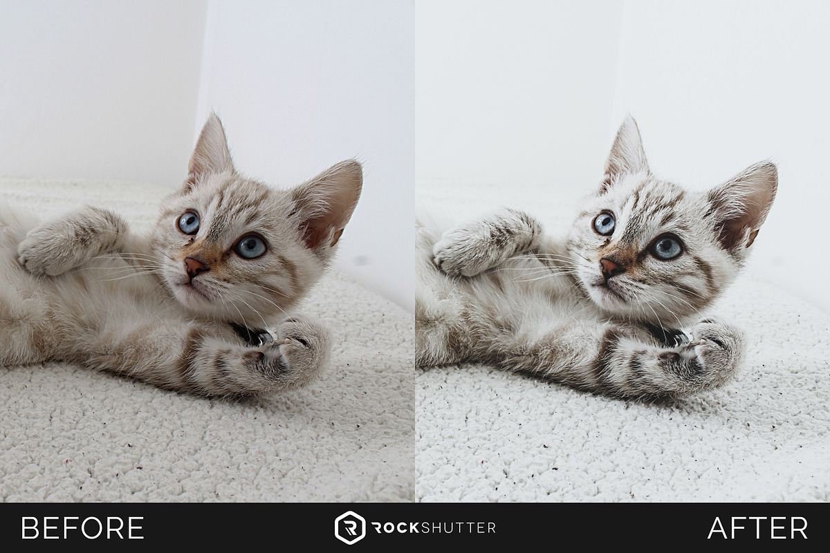 WHITE PRO Mobile & Desktop Presets, an Action Add-On by RockShutter (Photo 4 of 10)