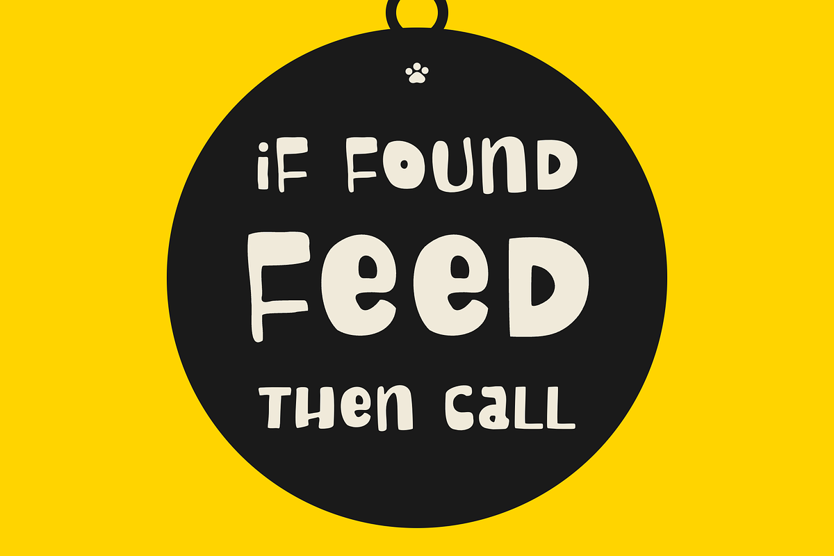 Mix Chonky Cheeks Fat Font + Dings, a Handwritten Font by Mix Fonts (Photo 6 of 10)