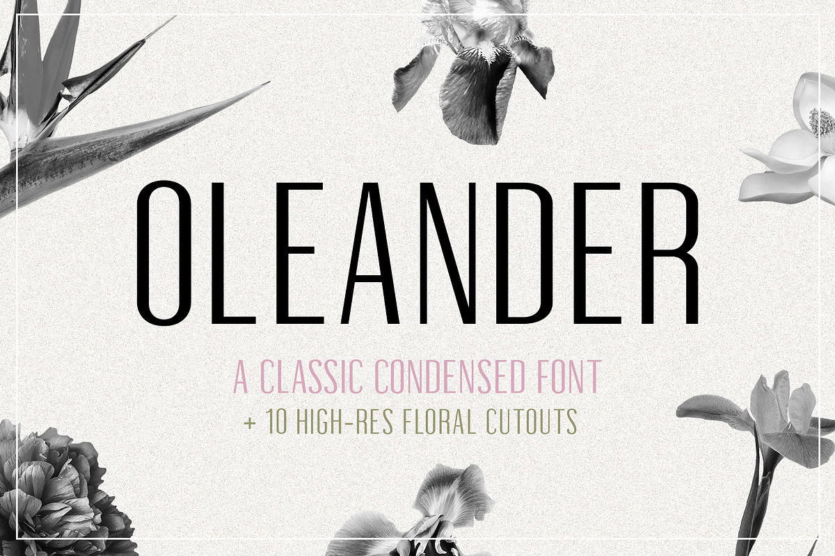 Oleander | Sans-Serif + 10 Cutouts