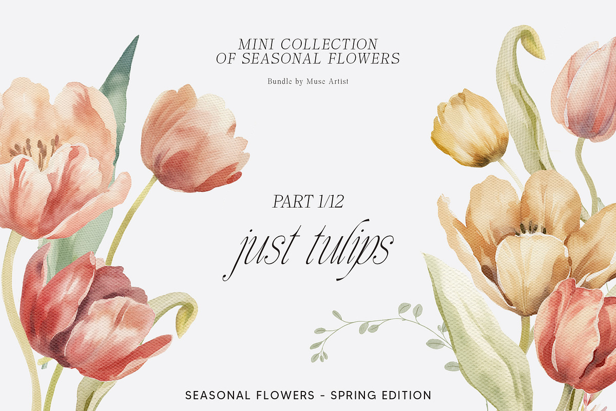 SPRING BOX Watercolor Bundle 400+, a Decorative Illustration by Muse Artist (Photo 2 of 99)