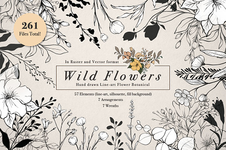 WILD FLOWERS Illustration Botanical