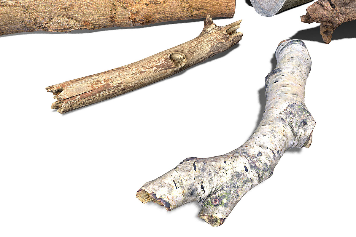 13 Tree Logs, an Environmental 3D Model by Beatheart Creative Studio (Photo 24 of 37)