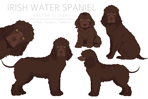 Irish Water Spaniel Clipart