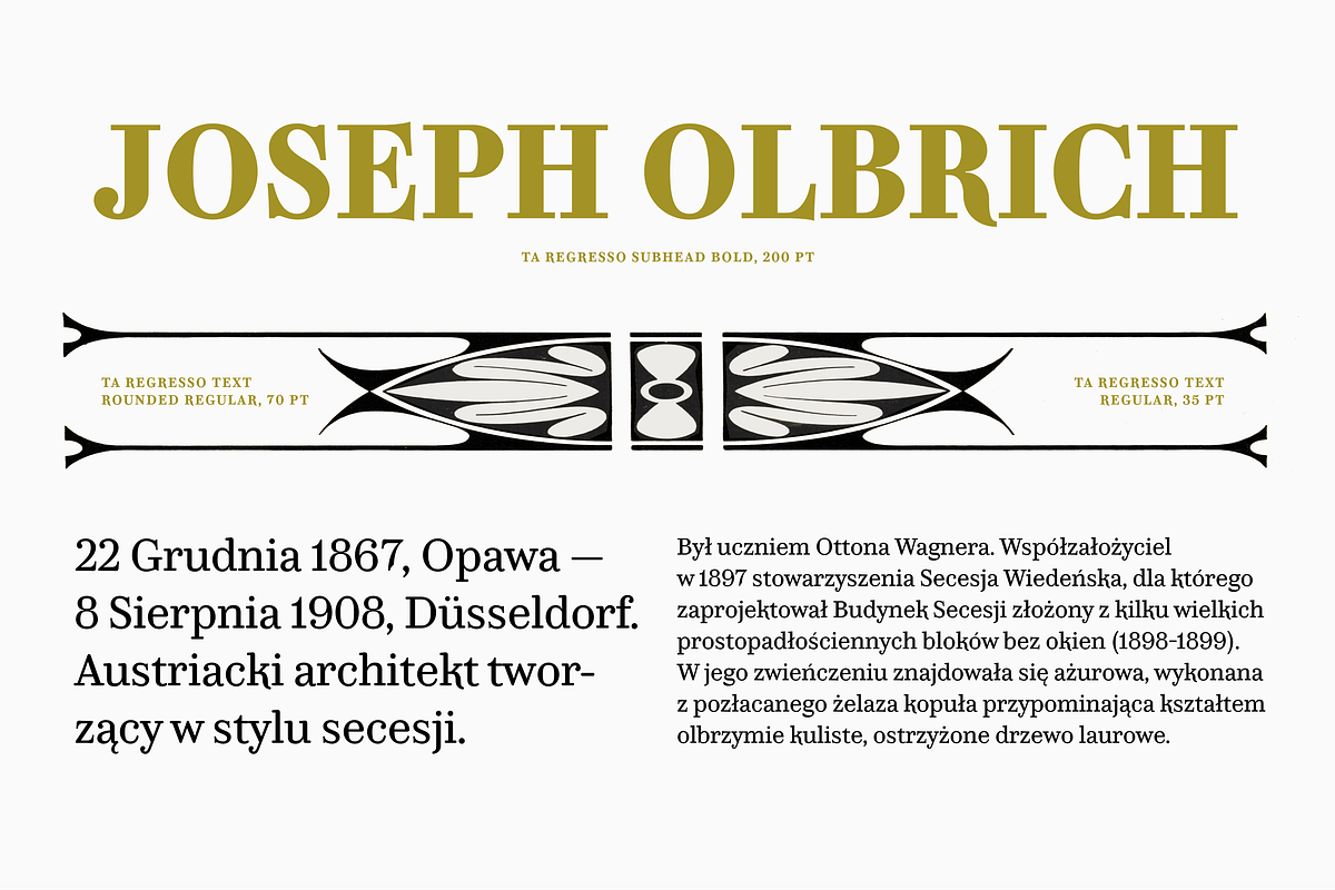 TA Regresso Text, a Serif Font by TAFT Foundry (Photo 12 of 21)