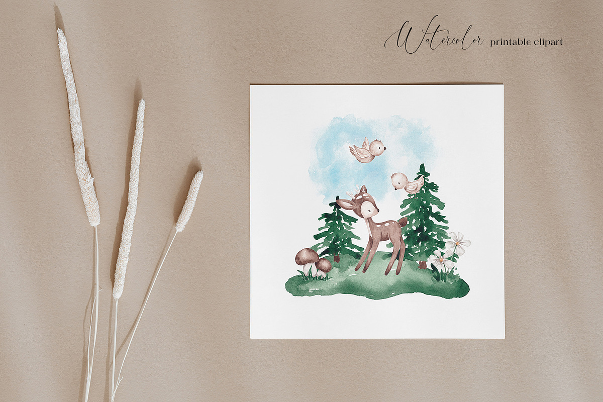 Woodland animals clip art, an Animal Illustration by SirenaArt (Photo 7 of 11)