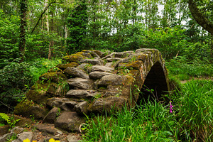 Old stone bridge covered in moss in, an Architecture Photo by Perpis