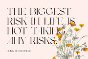 Mover Elegant Serif Font Typeface, a Serif Font by Perfectype (Thumbnail 2 of 7)