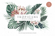 Tropicana Botanical Elements, a Graphic by Opal Creative (Thumbnail 1 of 10)