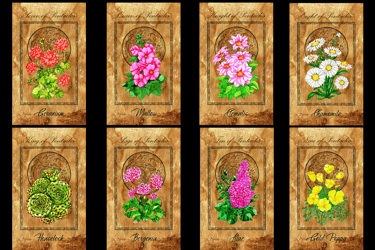 Enchanted flowers tarot deck, a Decorative Illustration by Samiramay (Photo 12 of 12)