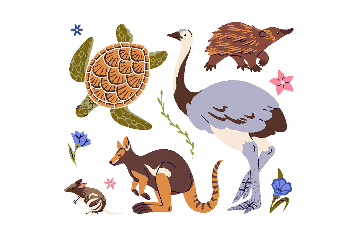 Australian animals and plants set, an Animal Illustration by PaperTrident (Photo 4 of 4)