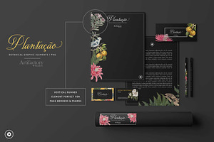 Plantao Botanical Elements I PNG