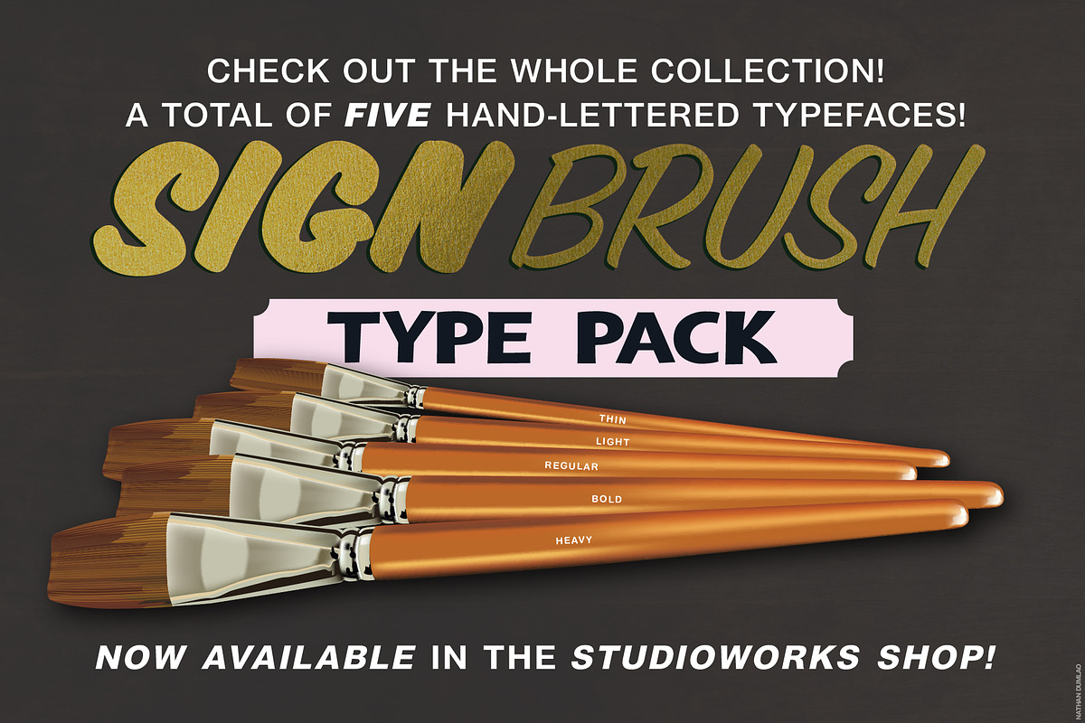 Sign Brush Regular | Display Type, a Script Font by StudioWorks (Photo 7 of 8)