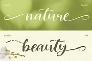 Lisaline, a Script Font by Artisan Themes (Thumbnail 4 of 11)