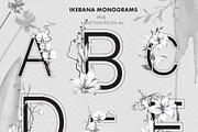 IKEBANA. Botanical Winter Kit., an Illustration by Pink Ocean (Thumbnail 7 of 16)