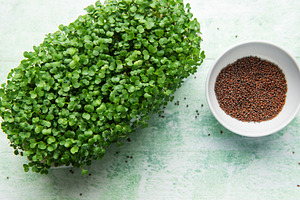 Fresh green microgreens growing next to a bowl of seeds, a Photo by Olena Rudo