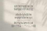 Nekavand Condensed Serif, a Serif Font by Cruzine (Thumbnail 4 of 7)