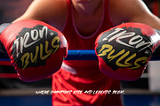 Under Holliw Display Handwritten, a Script Font by stylishtype.co (Thumbnail 2 of 10)