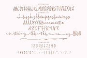 Wolline Minimalist Script Font, a Script Font by NTC Graphic (Thumbnail 8 of 9)