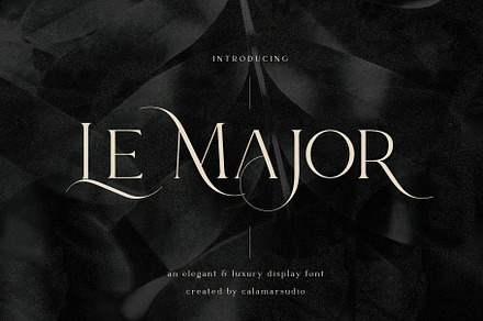 Le Major | Display Serif Font, a Serif Font by Calamar Studio