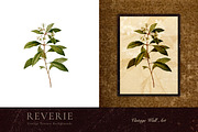 Authentic Vintage Paper Backgrounds, a Background Graphic by Eclectic Anthology (Thumbnail 13 of 13)