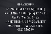 Flavoe || Modern Serif Font, a Serif Font by Ermedia Studio (Thumbnail 9 of 10)