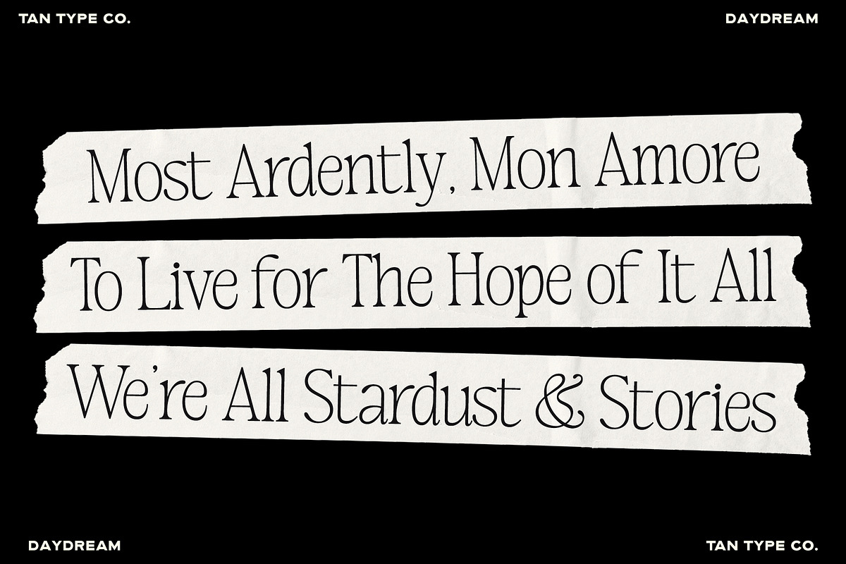 TAN-MIDSUMMER- DUO FONT, a Serif Font by TanType (Photo 4 of 10)
