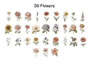 Vintage Botanical Illustrations, a Decorative Illustration by youtoview (Thumbnail 5 of 14)