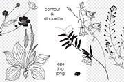 Wildherbs and flowers., an Object Graphic by maritime_m (Thumbnail 2 of 8)