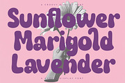 Fruity Candy Groovy Display Font, a Serif Font by timelesstype.co (Thumbnail 15 of 20)