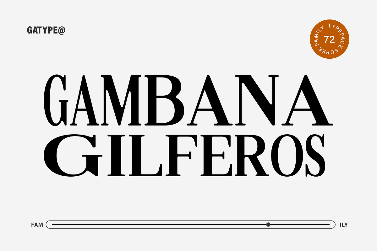 Gilferos, a Serif Font by Gatype (Photo 2 of 16)