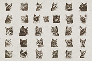Cat Breeds Portrait Illustrations, an Animal Illustration by Nocturnal Wolf (Thumbnail 7 of 10)