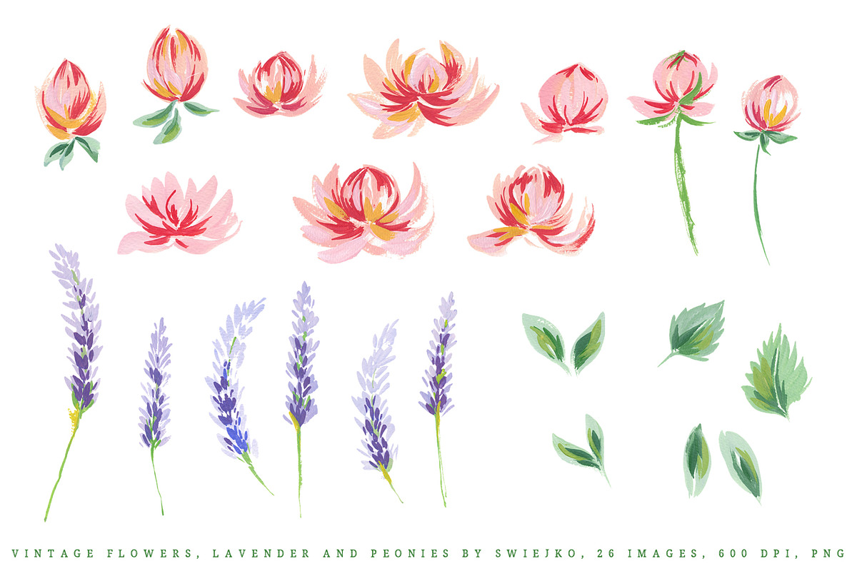 Lavender & Peonies vintage flowers, a Decorative Illustration by swiejko (Photo 2 of 3)