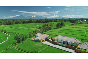 Stunning aerial view of Ubud Rice, a Nature Photo by Goinyk