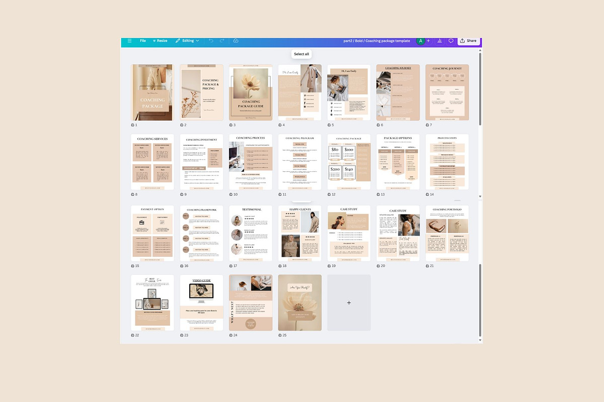 Client Welcome Services Bundle CANVA, a Brochure Template by Deepa Template Studio (Photo 15 of 23)