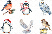 Winter Birds Christmas Clipart, an Illustration by Black Bird Studio (Thumbnail 3 of 6)
