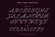 Winky Show Dotted Art Fashion Script, a Script Font by Struvictory.art (Thumbnail 5 of 9)