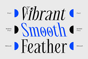 CS Quack – Aesthetic Font, a Serif Font by Craft Supply Co. (Thumbnail 5 of 8)